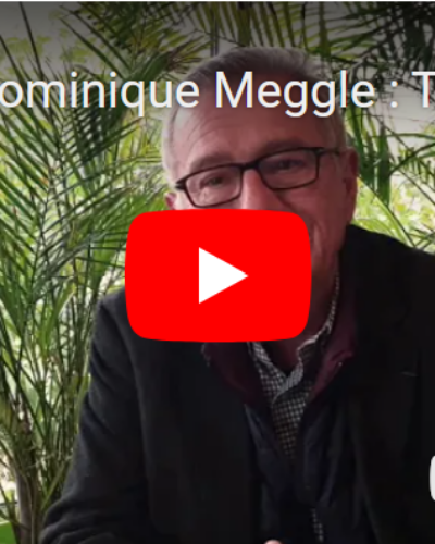 Troubles dépressifs, anxieux, traumatiques et douloureux – Dr Dominique Meggle