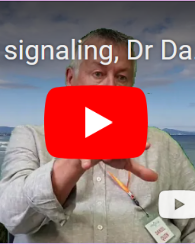 Le signaling – Dr Daniel Quin